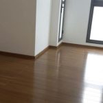 Cho thuê căn hộ Pearl Plaza 3 phòng ngủ view sông – L81 lầu cao nhà trống